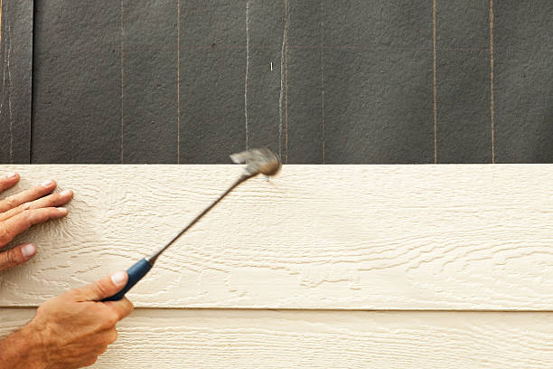 Best Stone Veneer Siding  in Lucerne Valley, CA